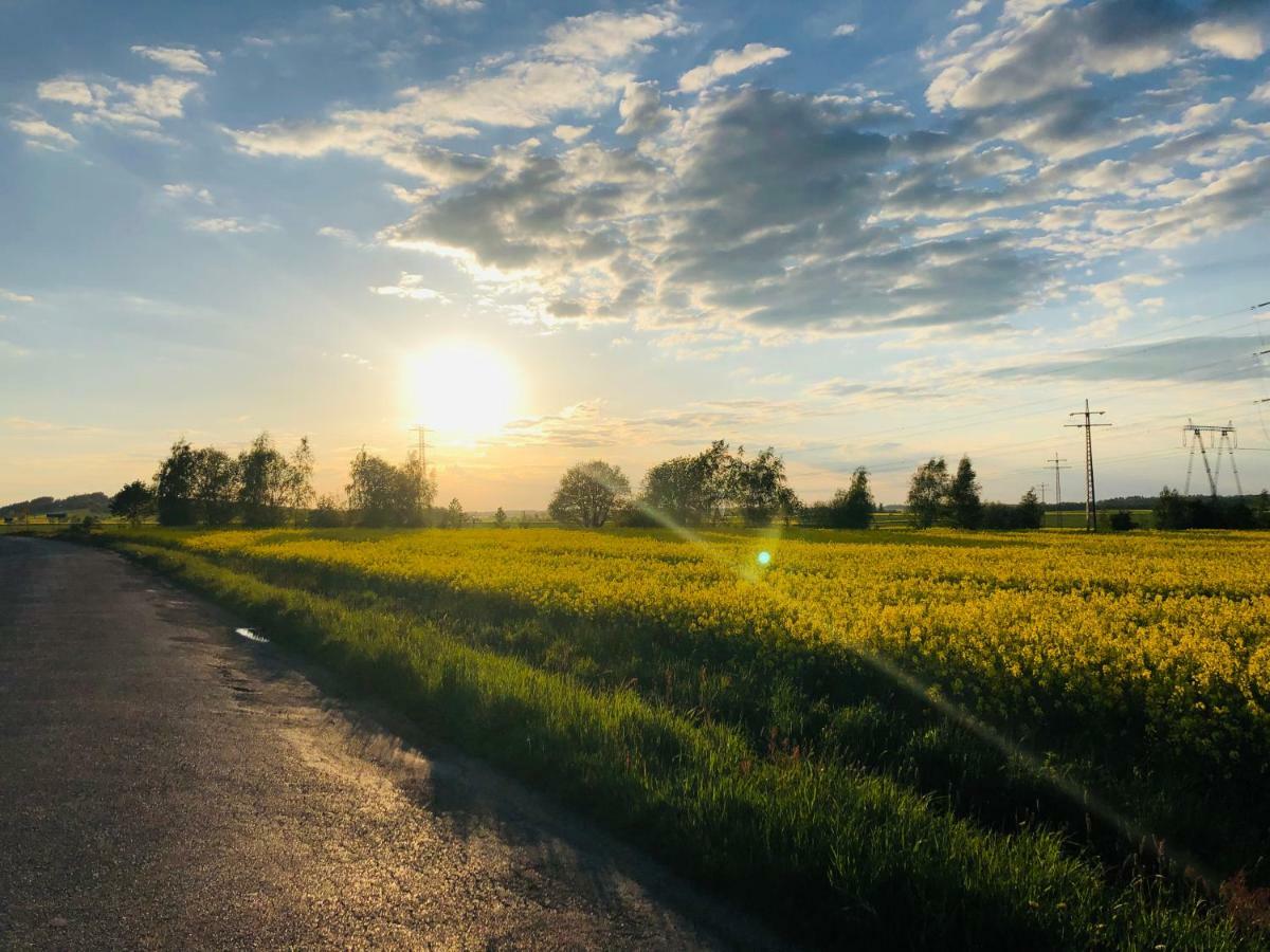 Nibylandia Dom Pod Lasem Nowa Wies Grodziska Экстерьер фото