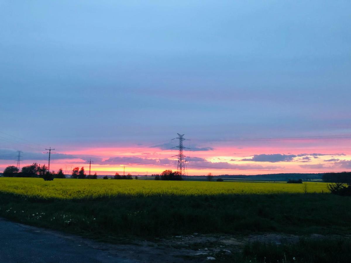 Nibylandia Dom Pod Lasem Nowa Wies Grodziska Экстерьер фото