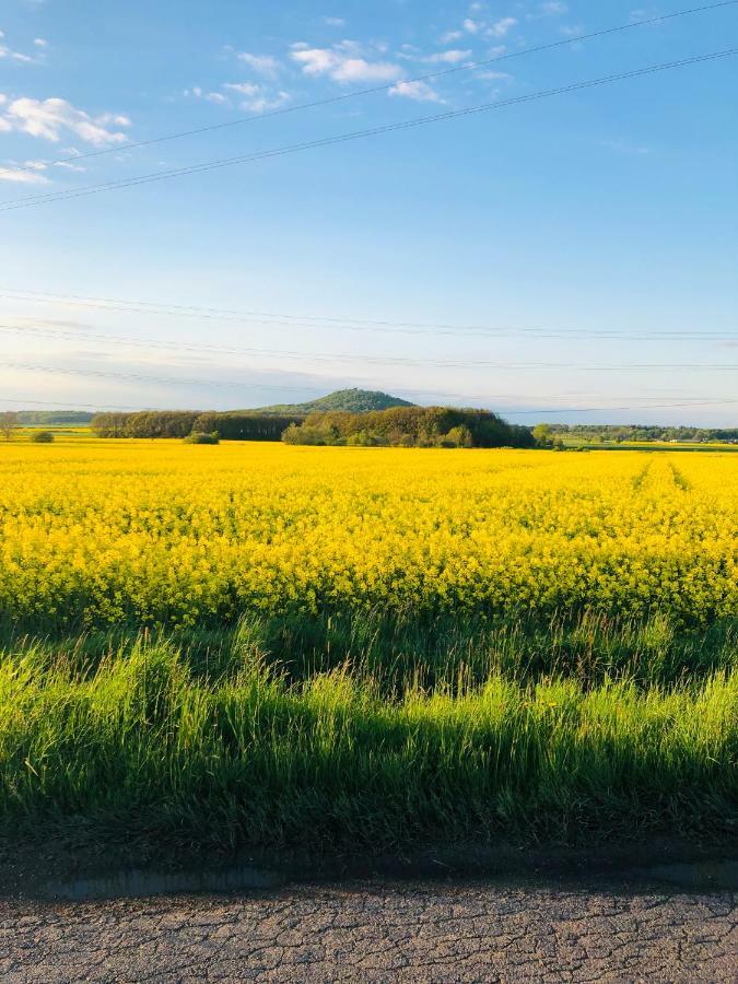 Nibylandia Dom Pod Lasem Nowa Wies Grodziska Экстерьер фото