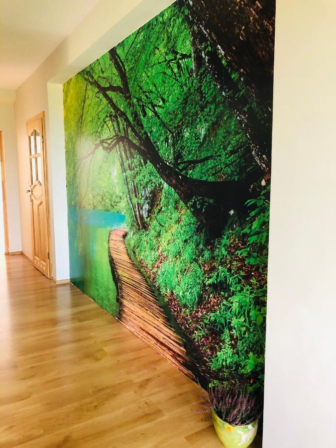 Nibylandia Dom Pod Lasem Nowa Wies Grodziska Экстерьер фото